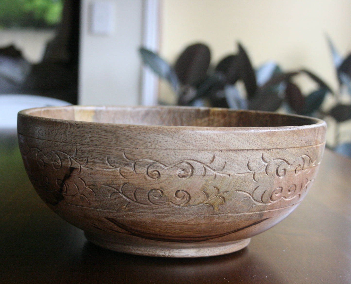 Igli Salad Mixer Bowl
