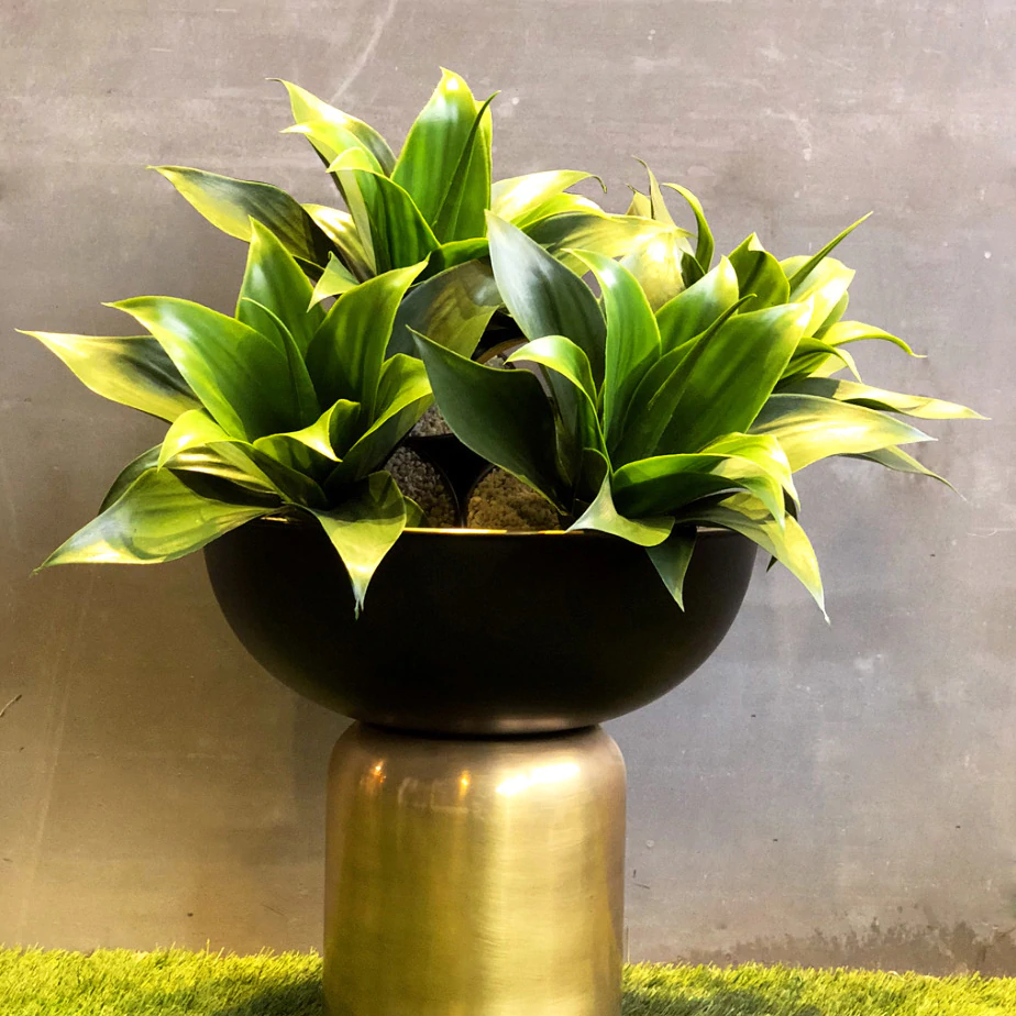 Ruhe Medium Indoor Planter